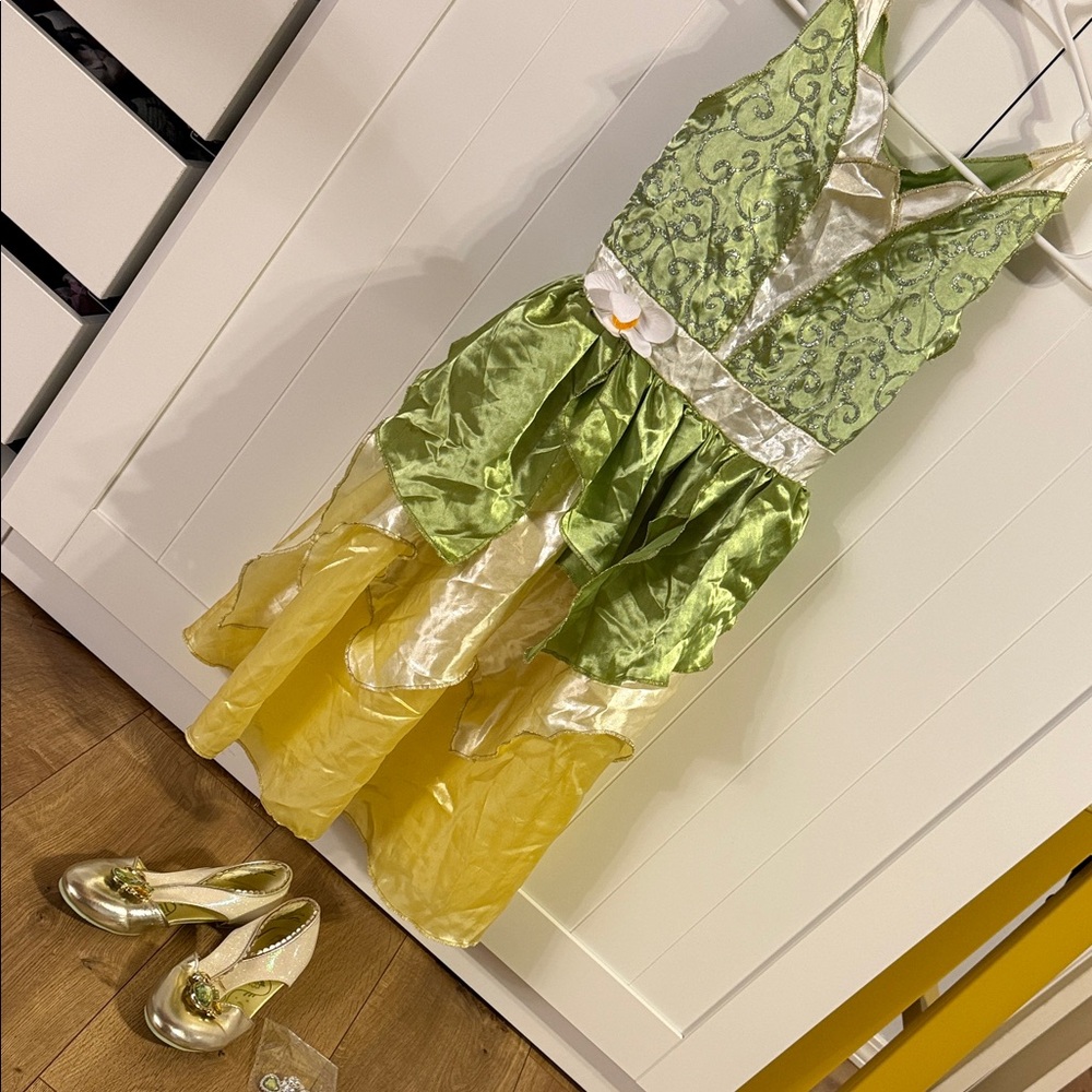 Princess Tiana costume